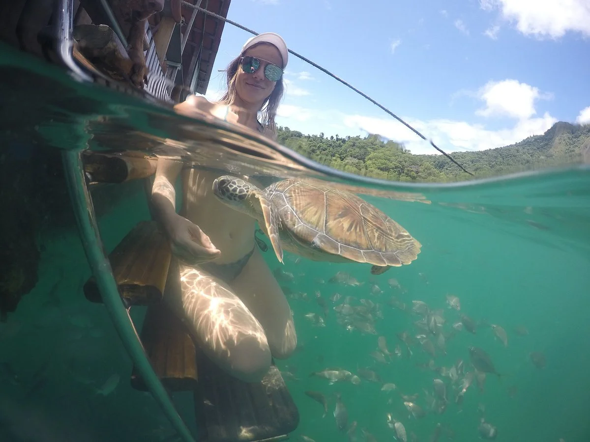 Passeios Nauticos Angra