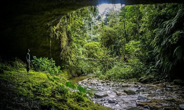 Akangau Jungle Tours