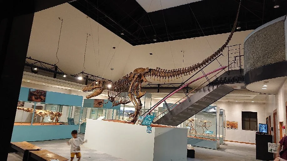Kannamachi Dinosaurs Center