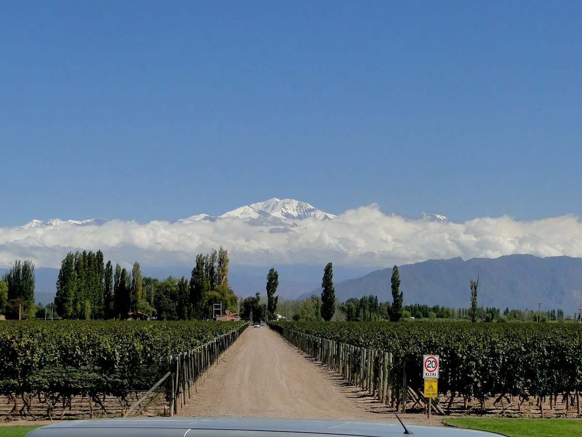 Mendoza Journeys