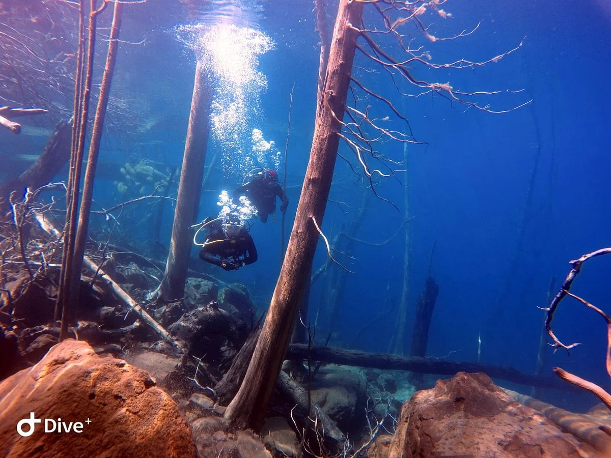 Buceo VLA