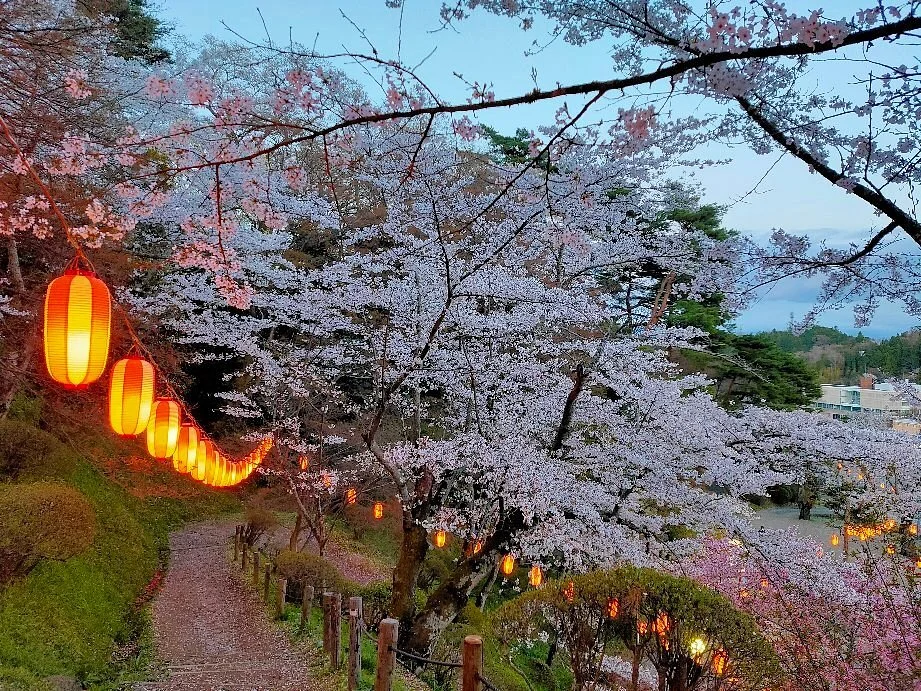 Kasumigajo Park