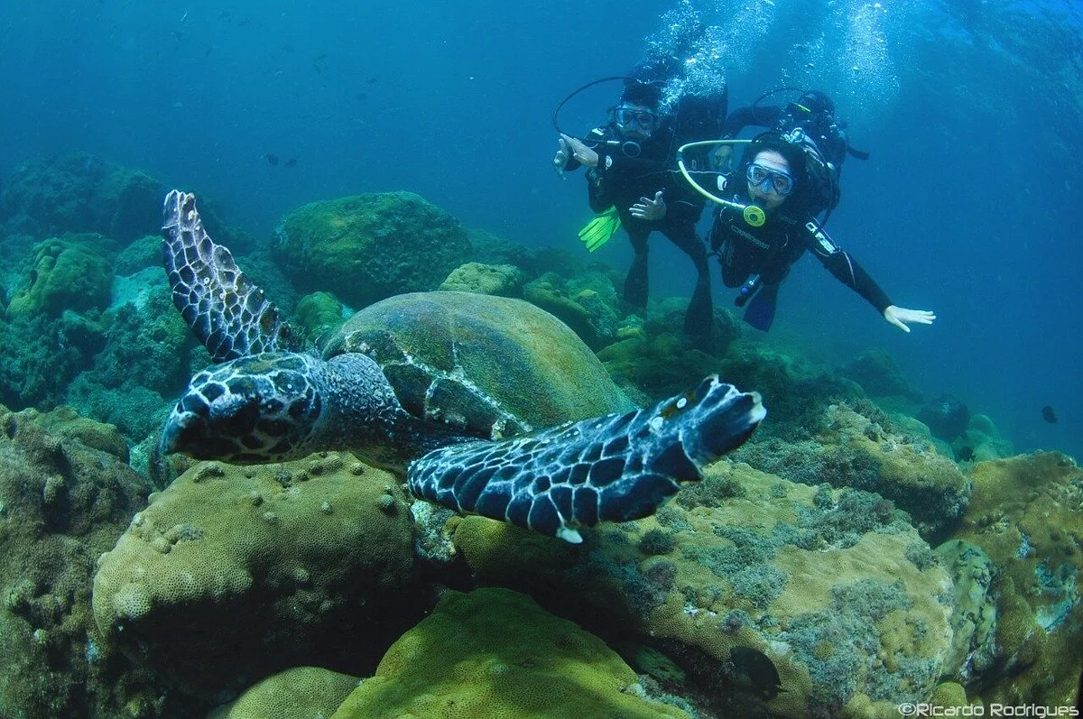 Ecodiving - Escola de Mergulho