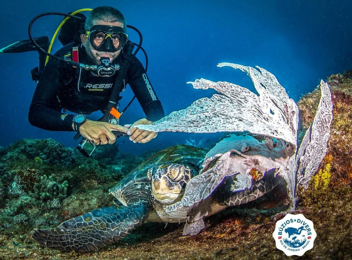 Buzios Divers