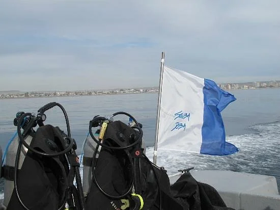 Scuba Duba