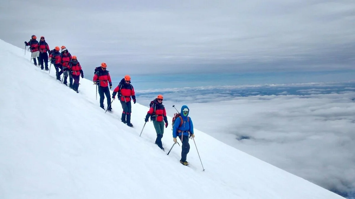 Patagonia Experience