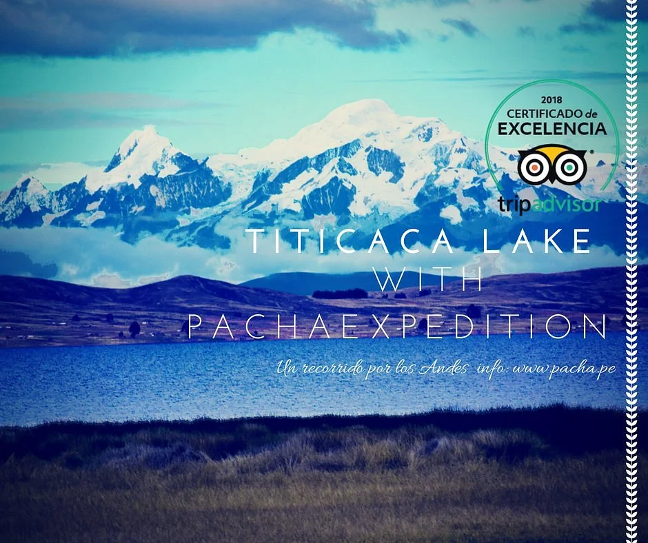 Pacha Expedition