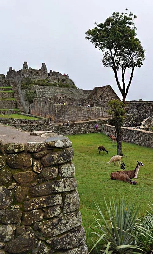 Inca Trail Reservations