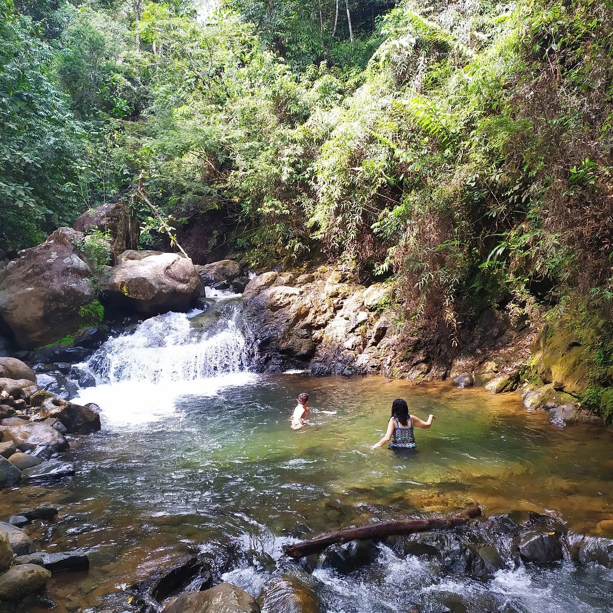 Picoloro Ecoturismo