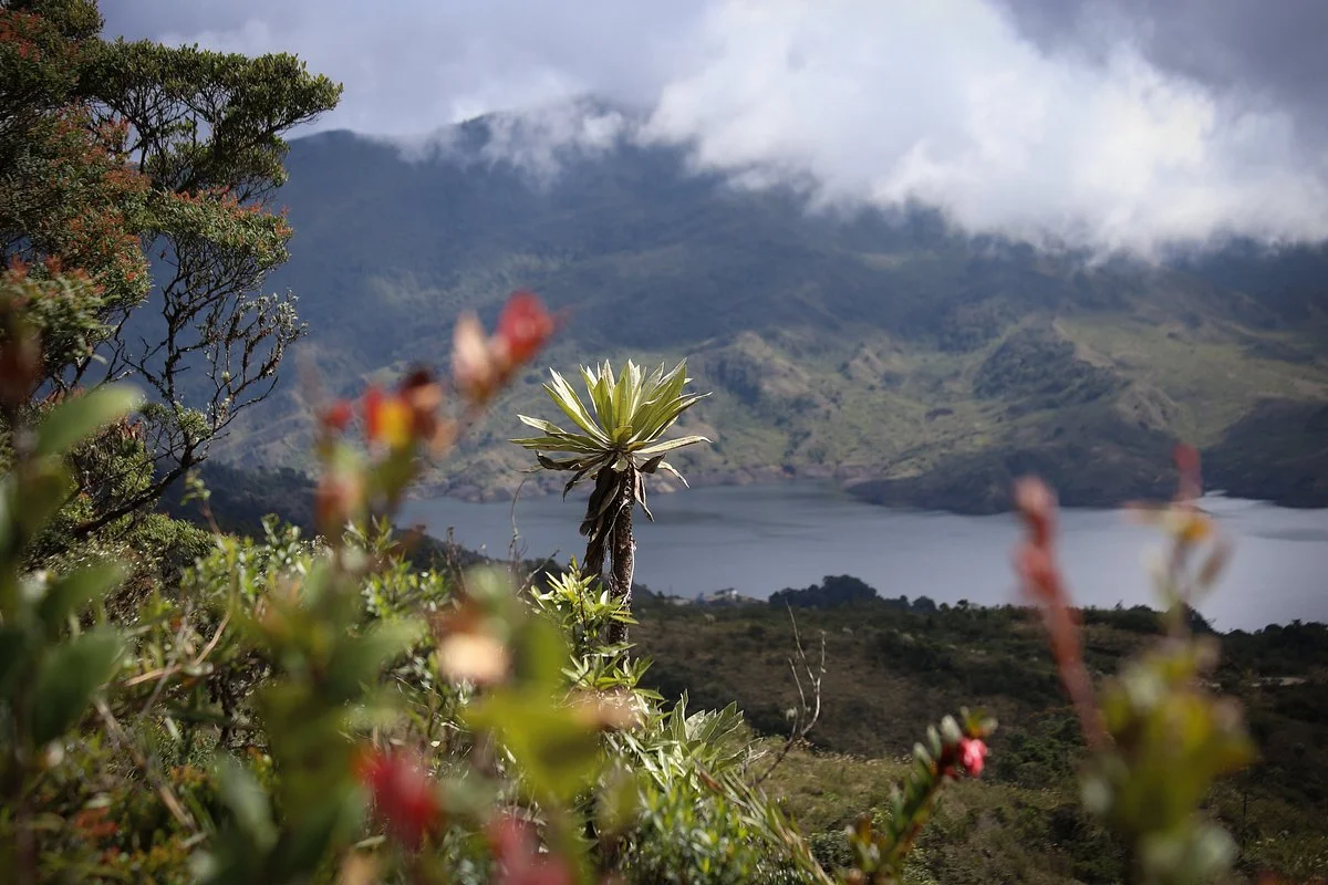 Andes EcoTours