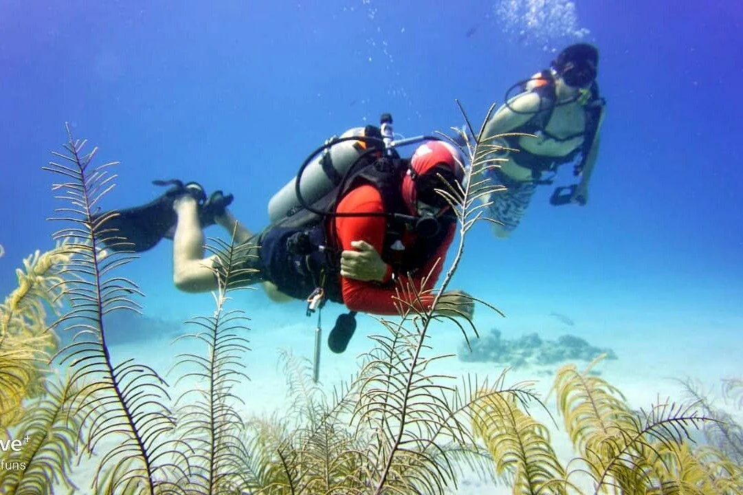 Diving Funs