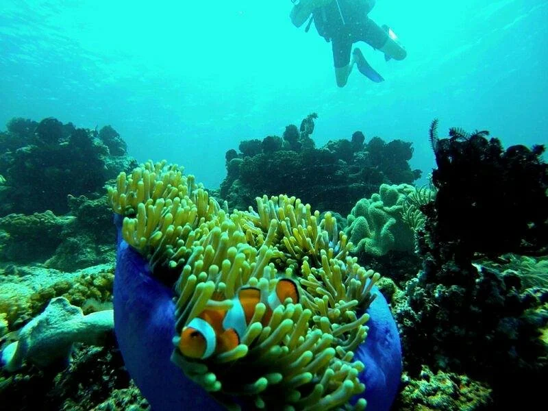 Desa Wisata Bentenan