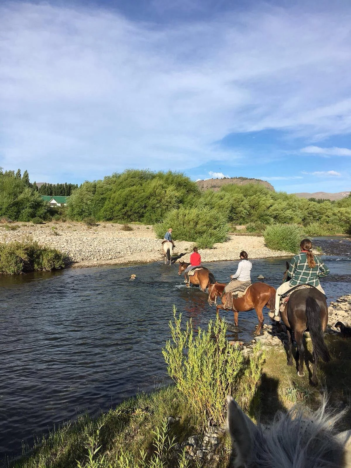 Cabalgatas & Aventura ArianePatagonia