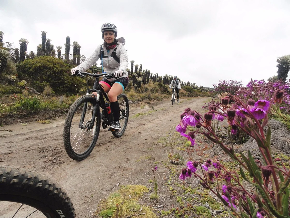 Andes Turismo y Aventura