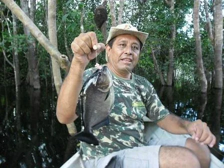 Águia Amazonas Turismo - Day Tours