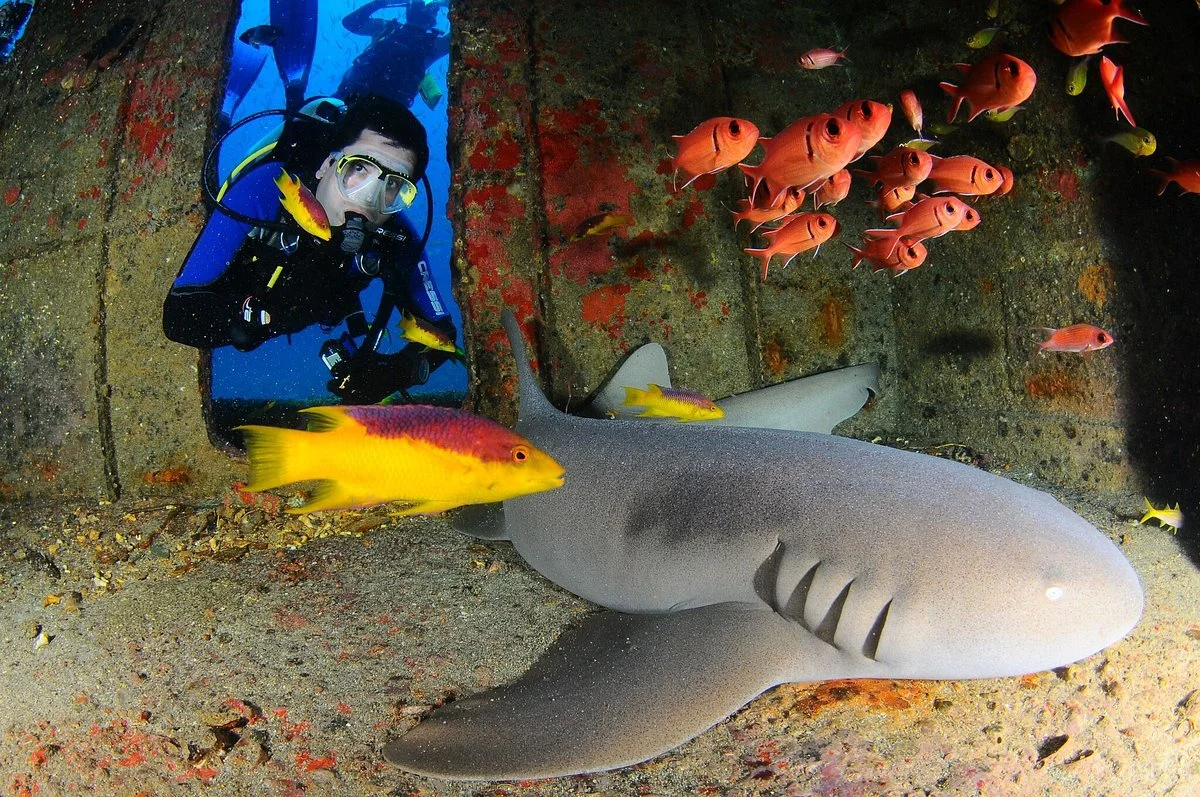 Jedivers