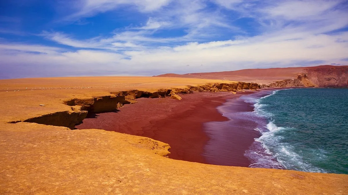 PlayaRoja Tours