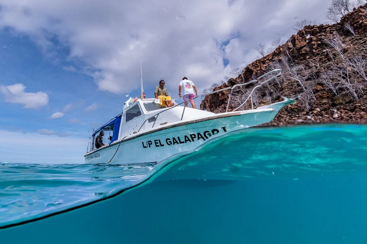 Scuba Iguana