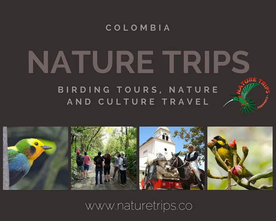 Nature Trips Colombia