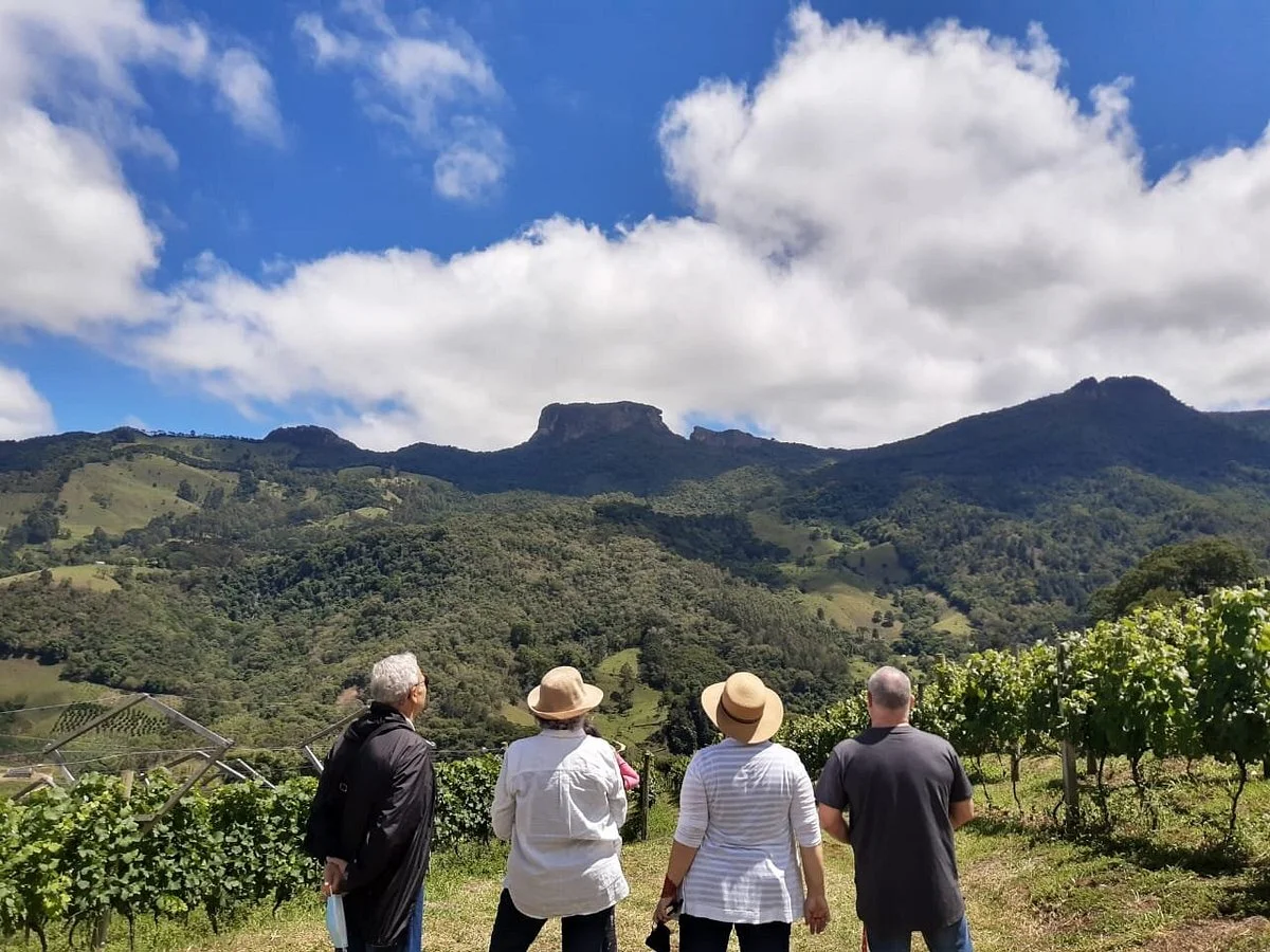 Vinicola e Fazenda Portal Da Luz
