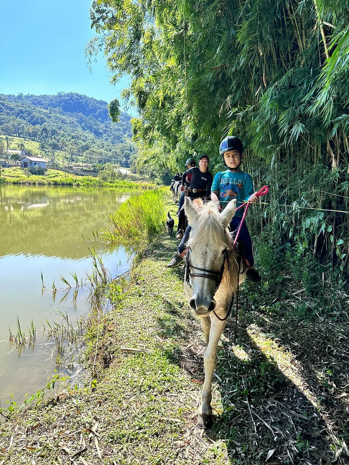 Encantador De Cavalos
