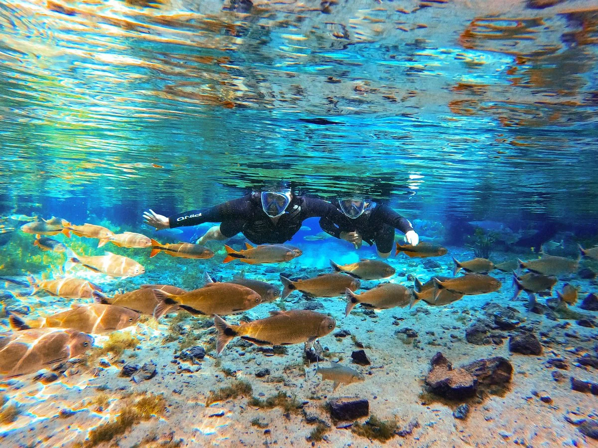 Nascente Azul