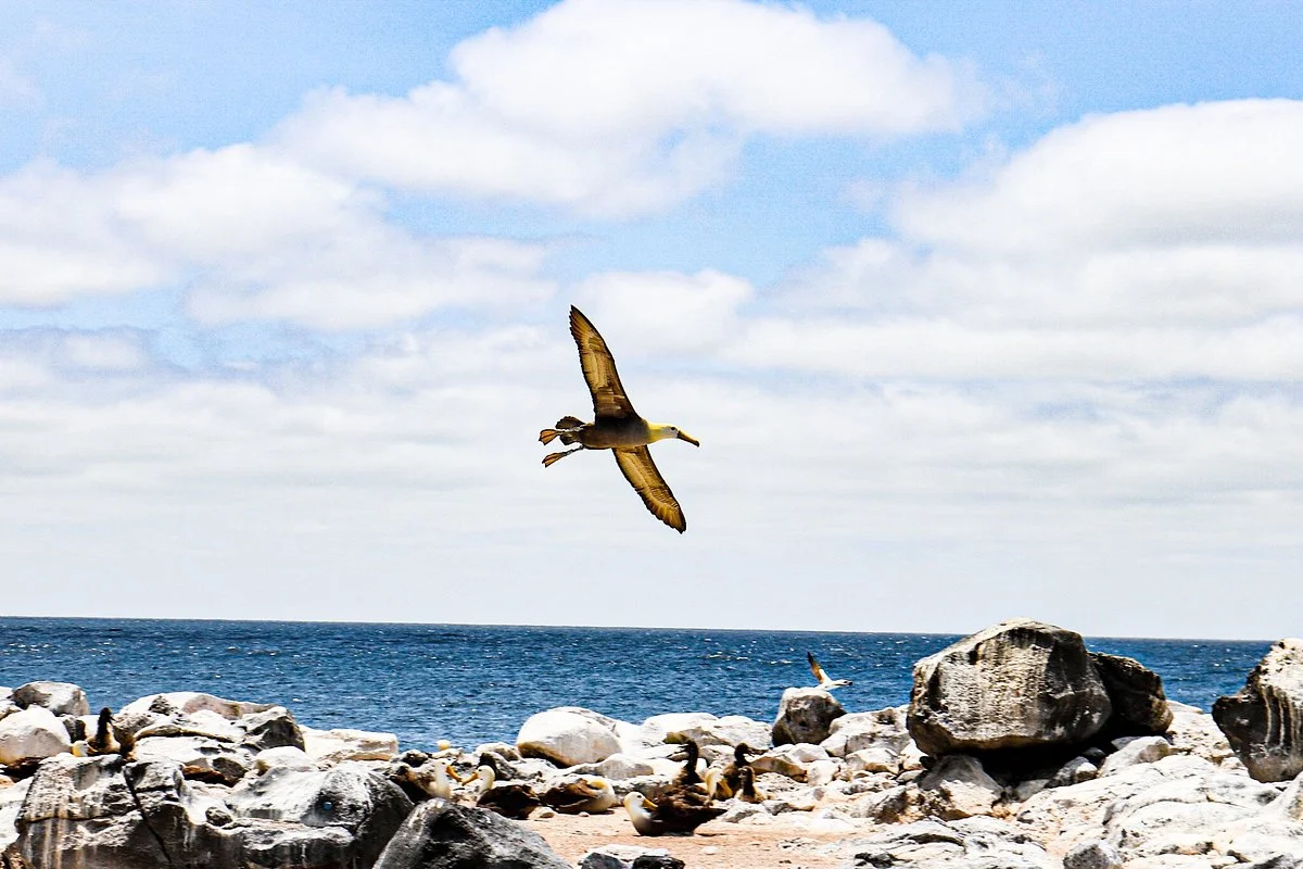 Galapagos Eco Fishing