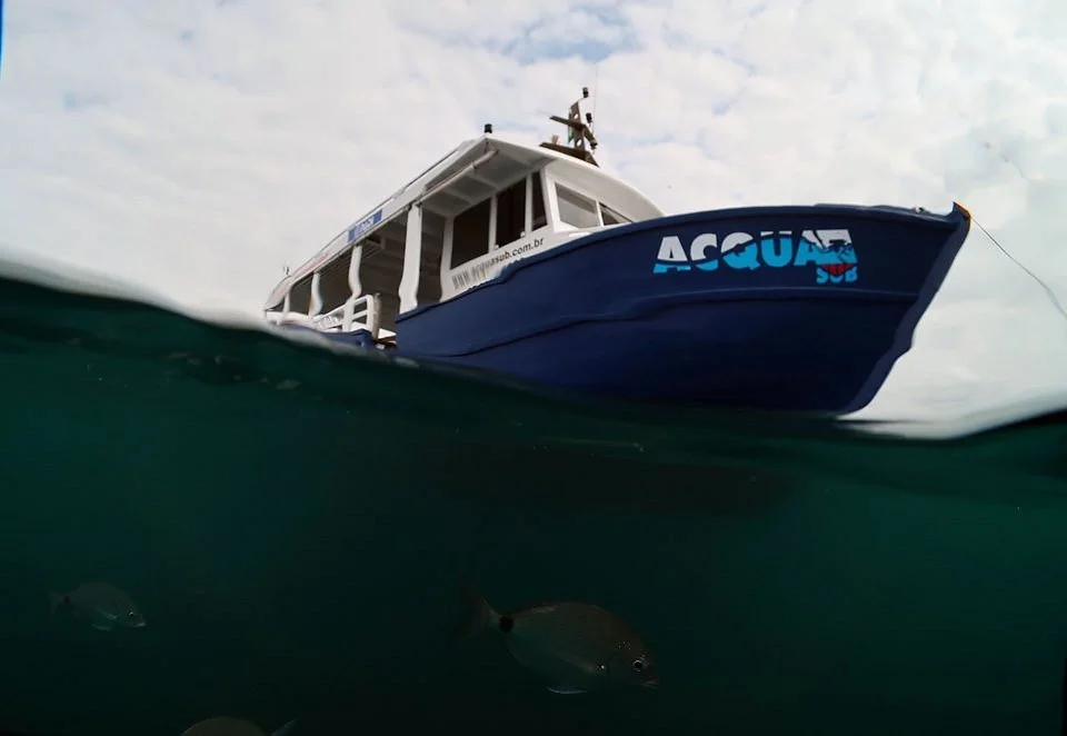 Acqua Sub Mergulho