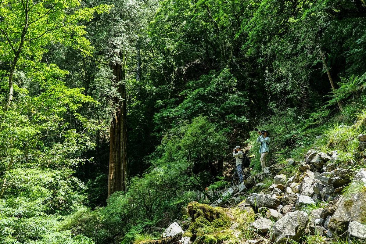 Dasyushan National Forest Recreation Area