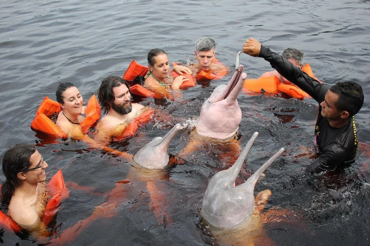 Boto da Amazonia