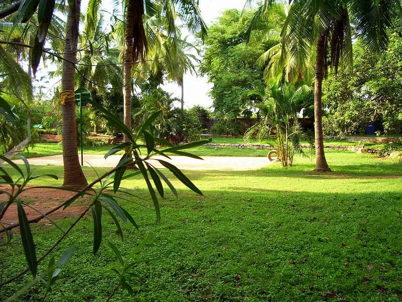 The Martin Farm