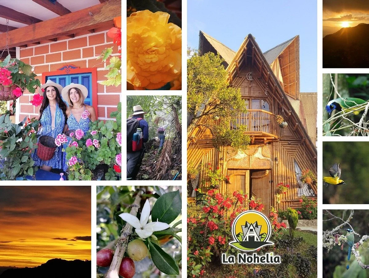Ecoturismo La Nohelia