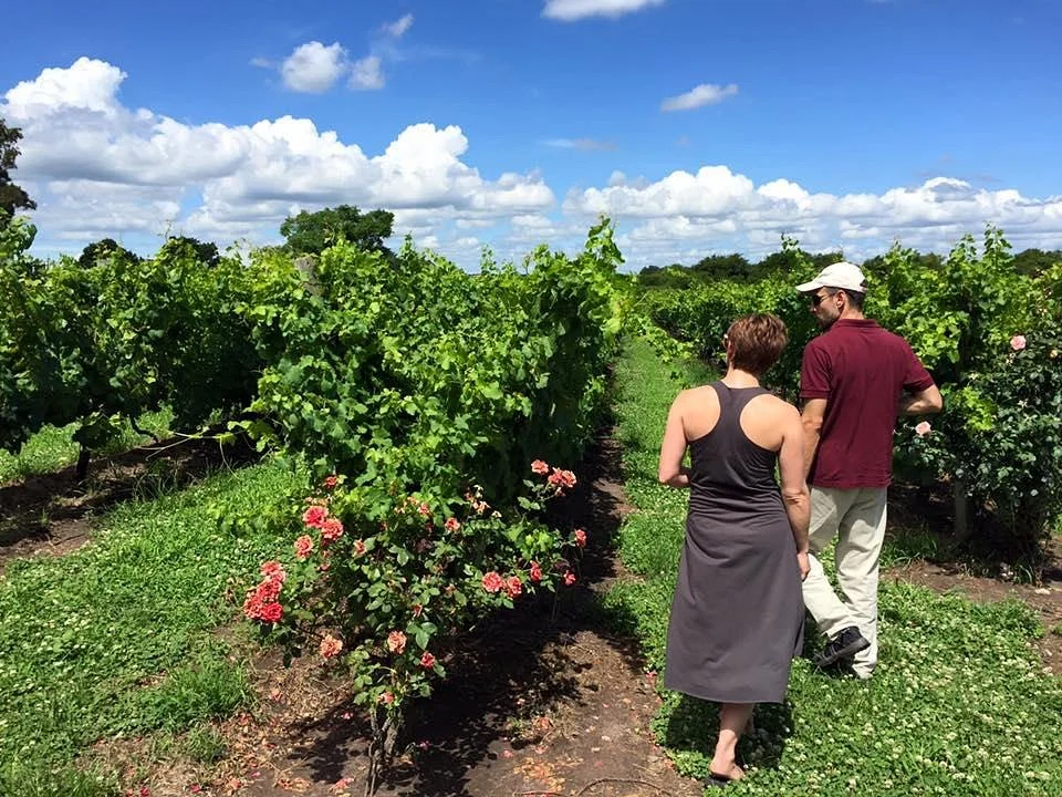 Borravino Wine Tours