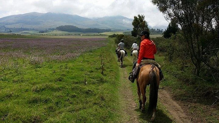 Ecua Horse Rides