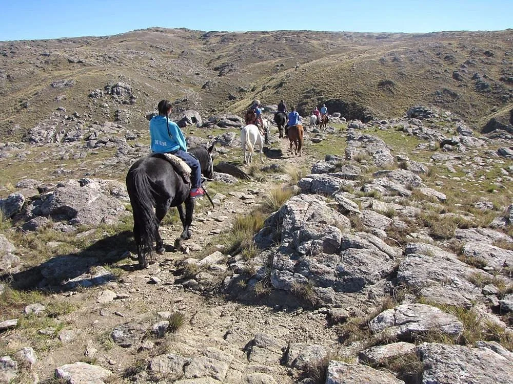 De los Condores Actividades