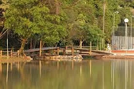 Bosque Maia