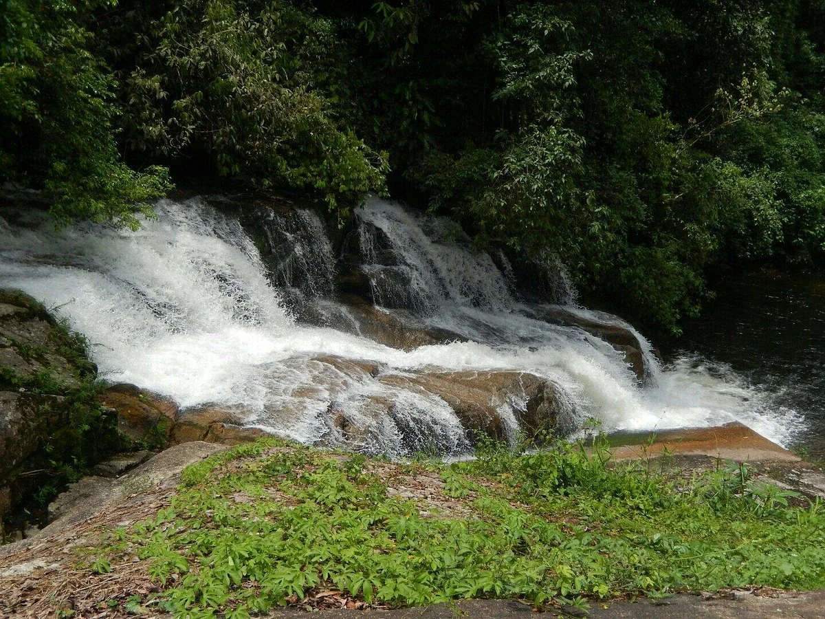 Poço do Tarzan