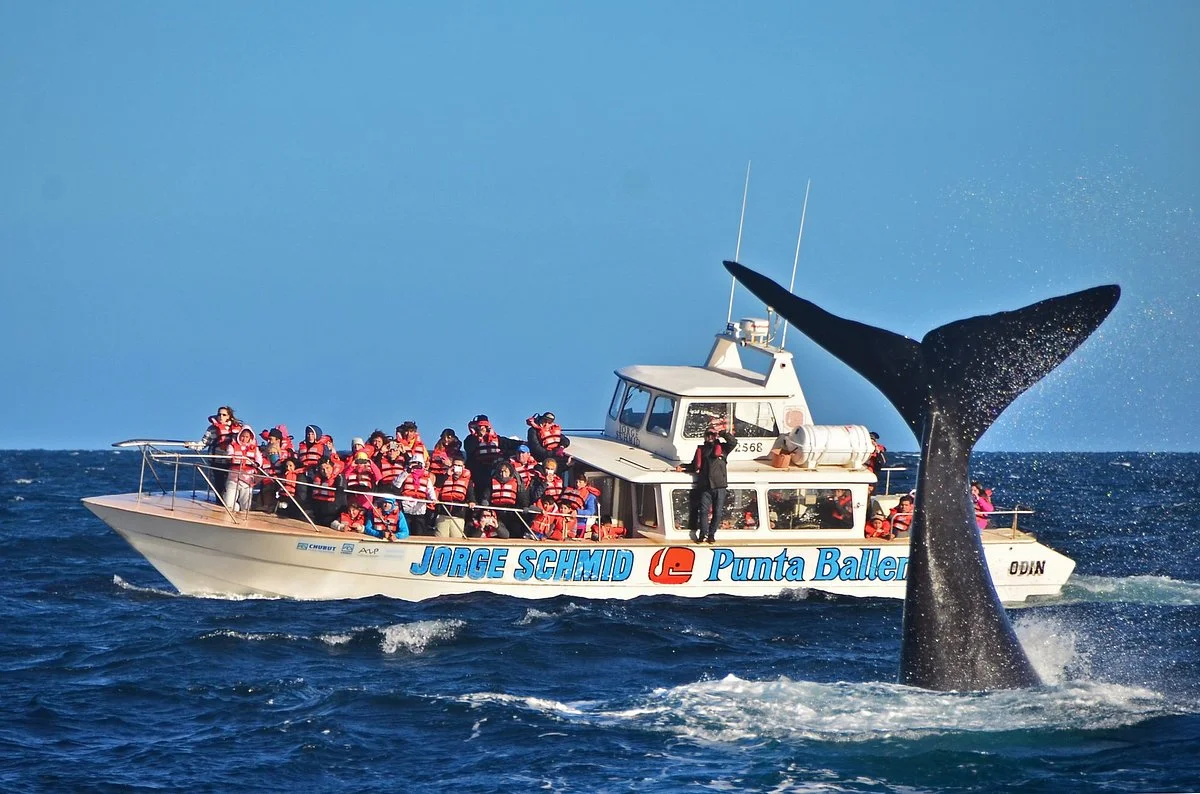 Punta Ballena Jorge Schmid