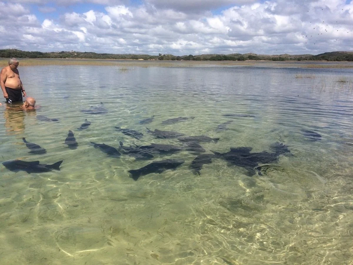 Lagoa dos Tambaquis