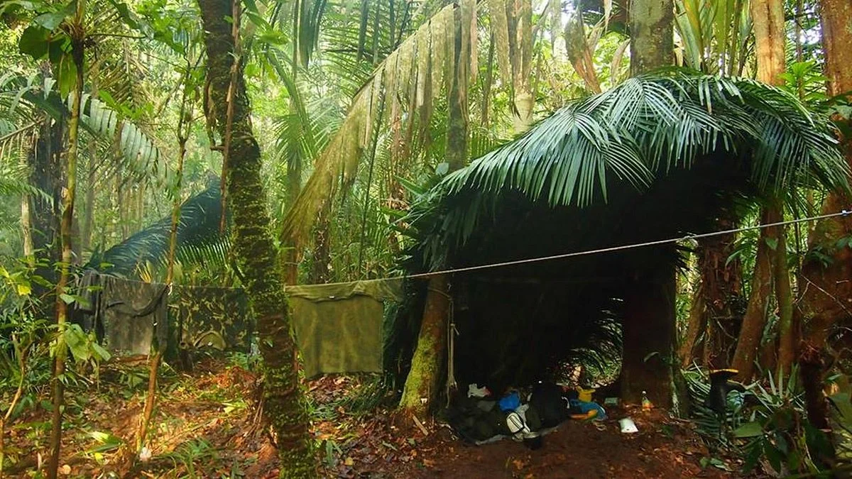 Amazon Rambo Jungle Tours