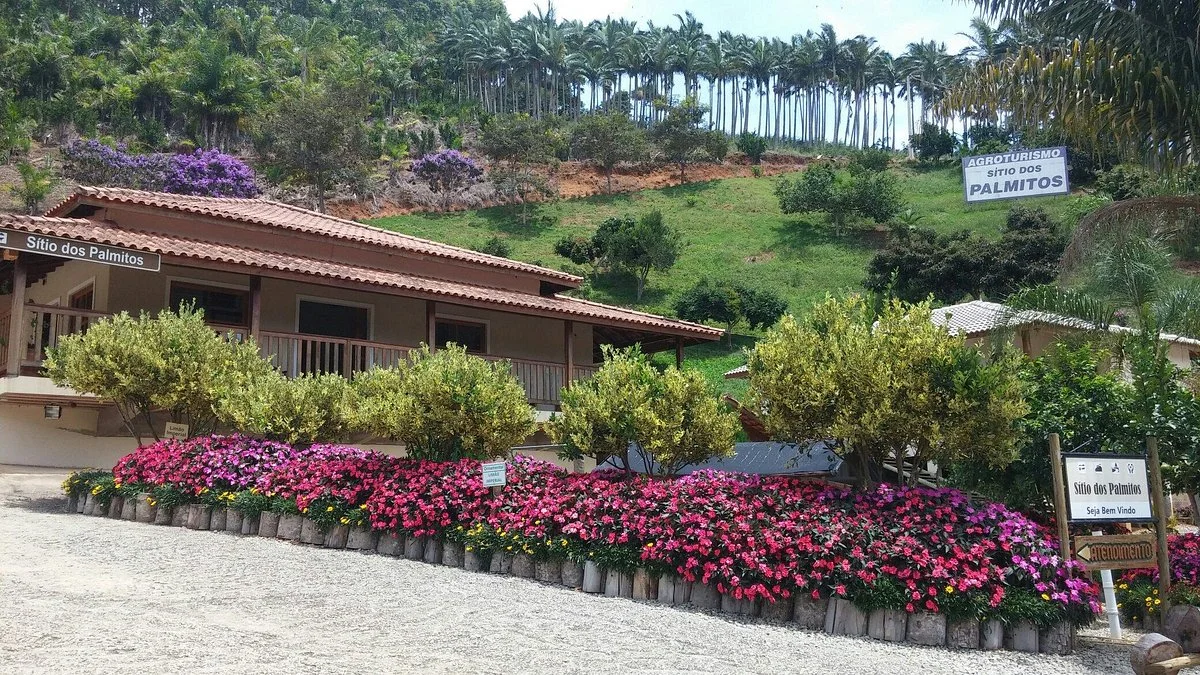 Sitio dos Palmitos