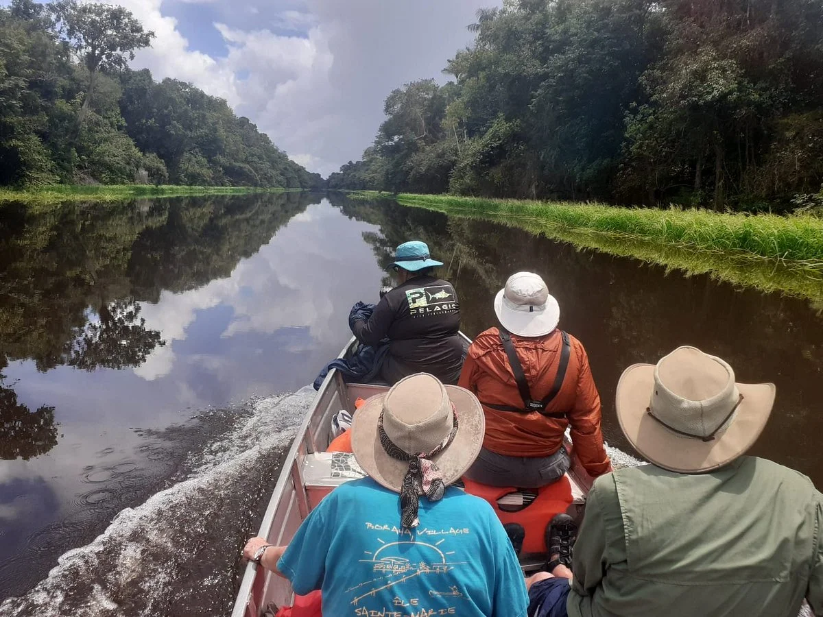 Amazon Tours Brazil