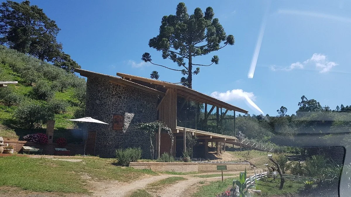 O Olival - Agroturismo