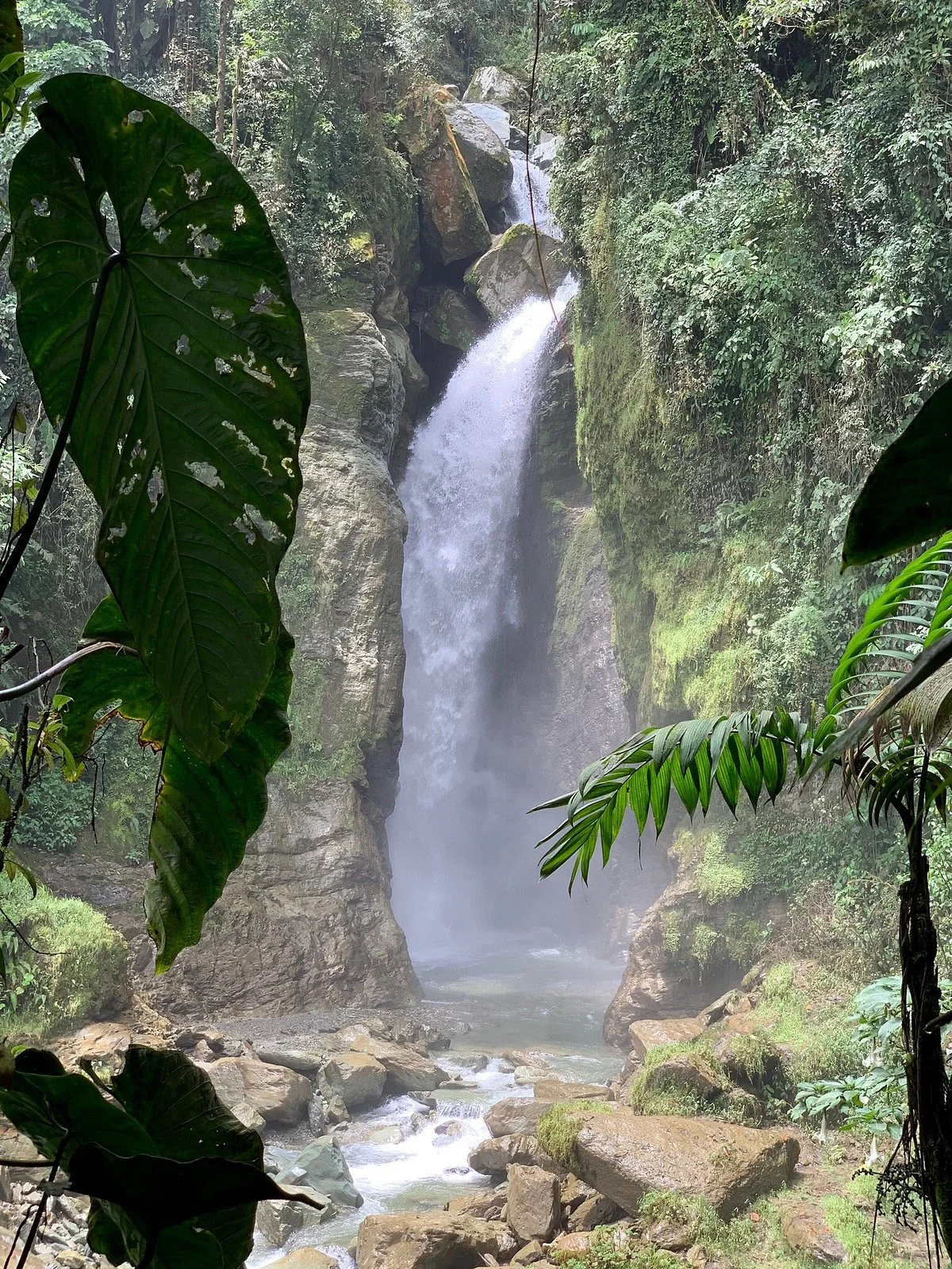 Cascadas del Rio Verde