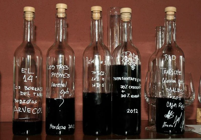Malbec Symphony Wine Tours - Day Tours