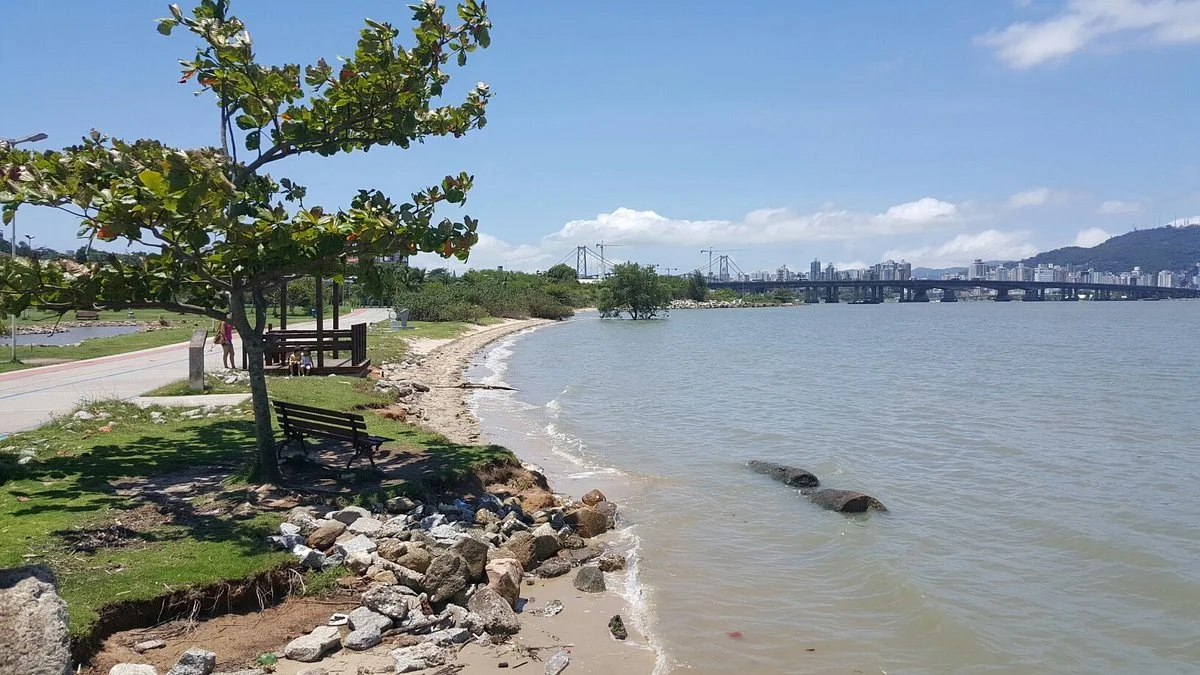 Parque De Coqueiros