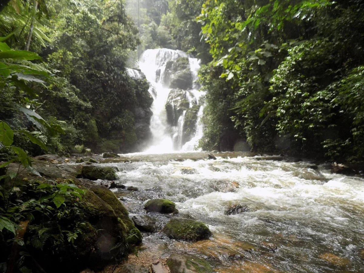 Cachoeira Do Cha