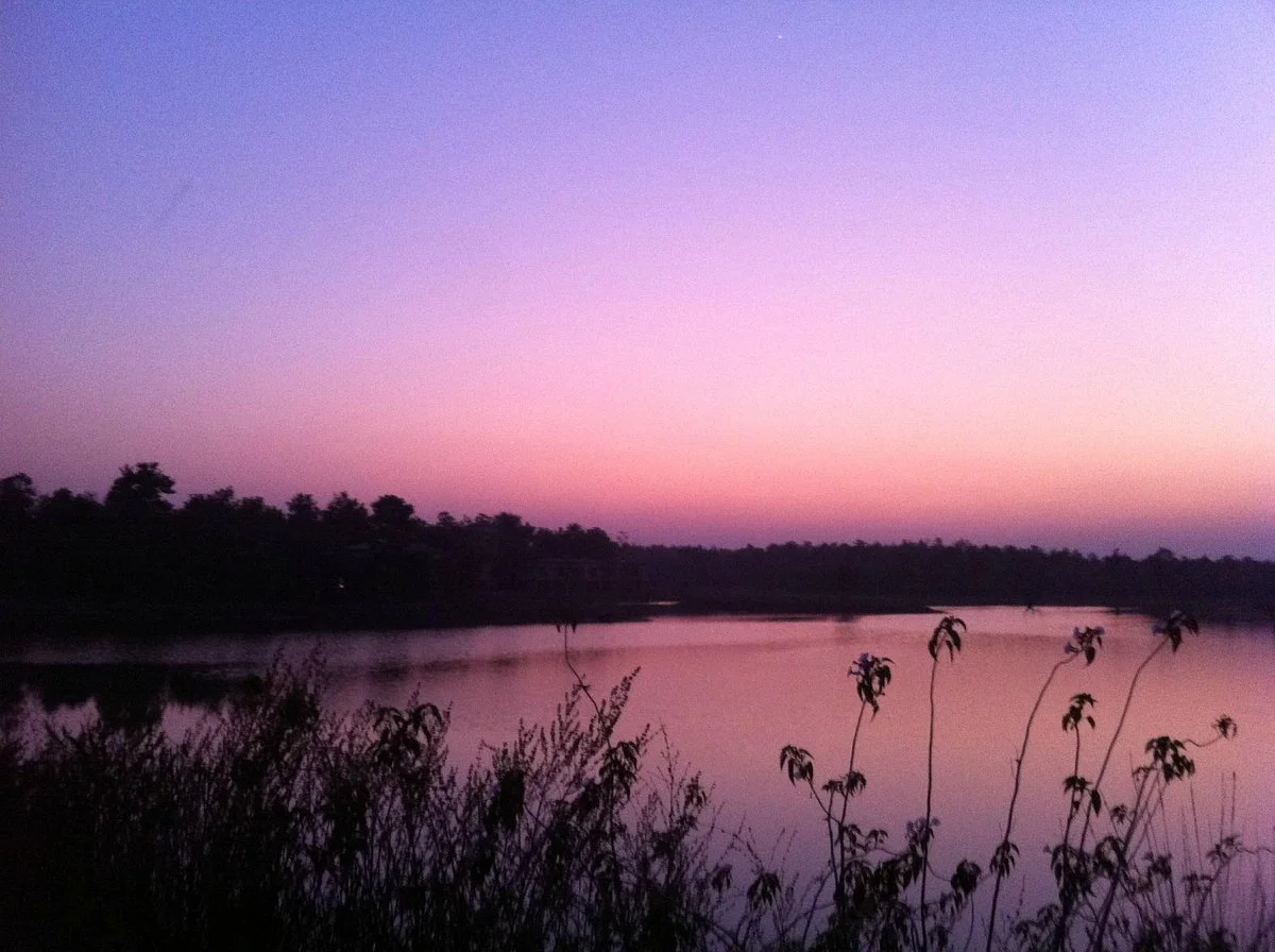 Barnawapara Wildlife Sanctuary