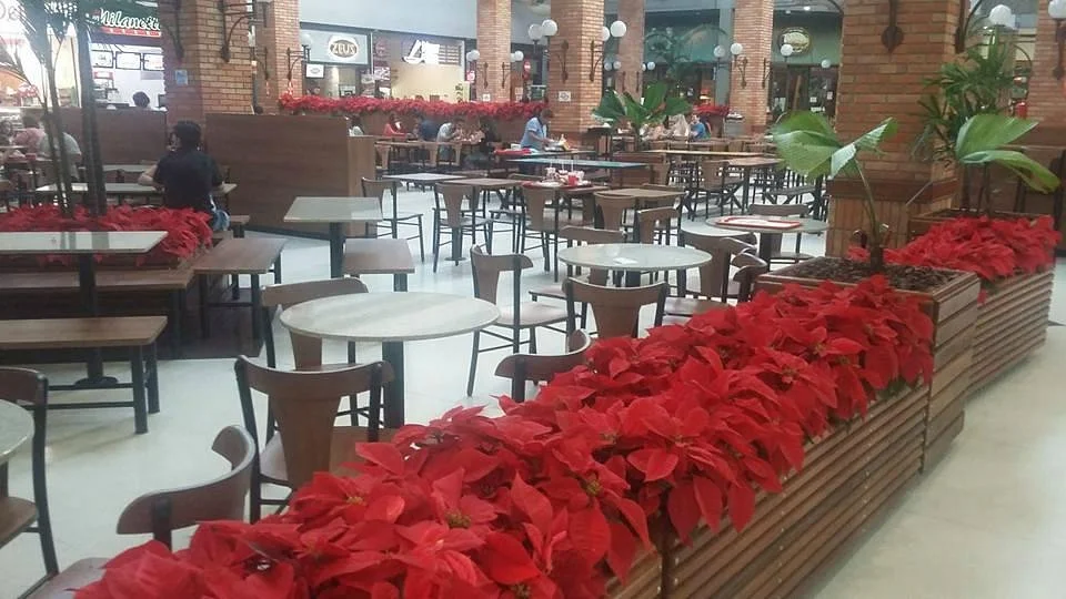 Plaza Shopping Itu