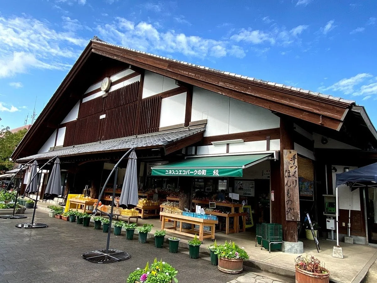 Aya Tezukuri Hommono Center